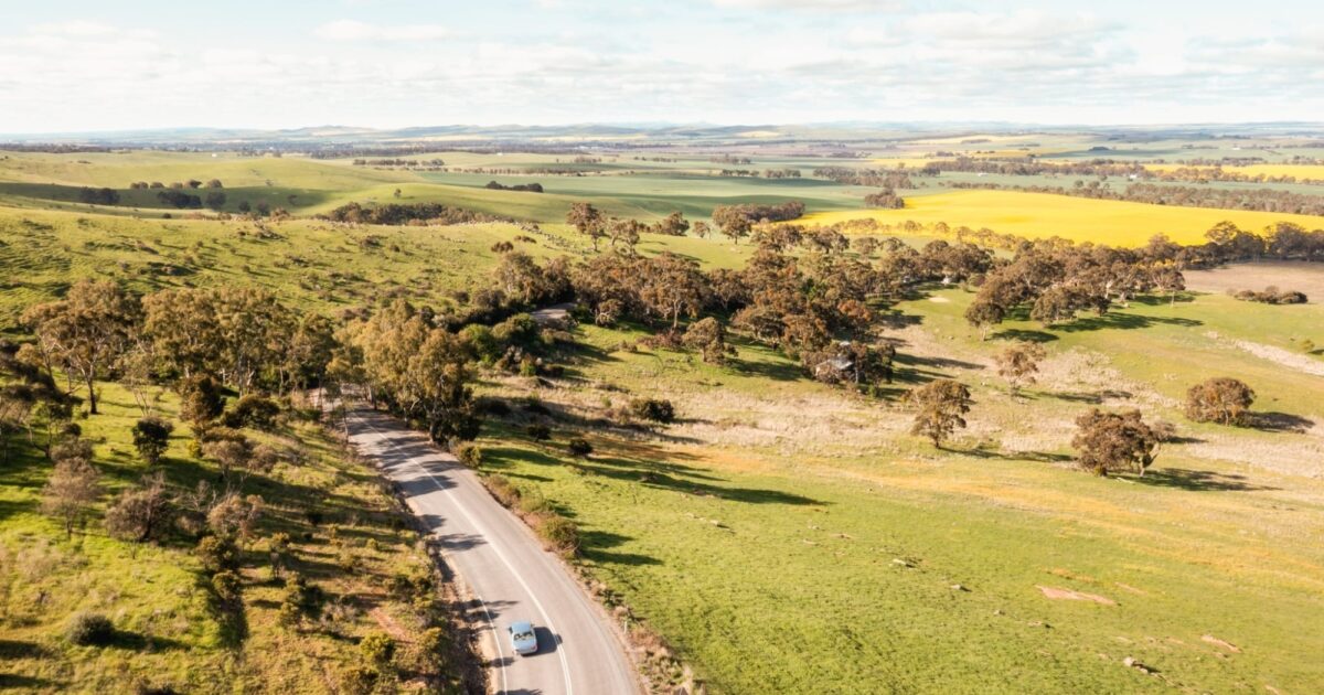 Wine South Australia | Clare Valley